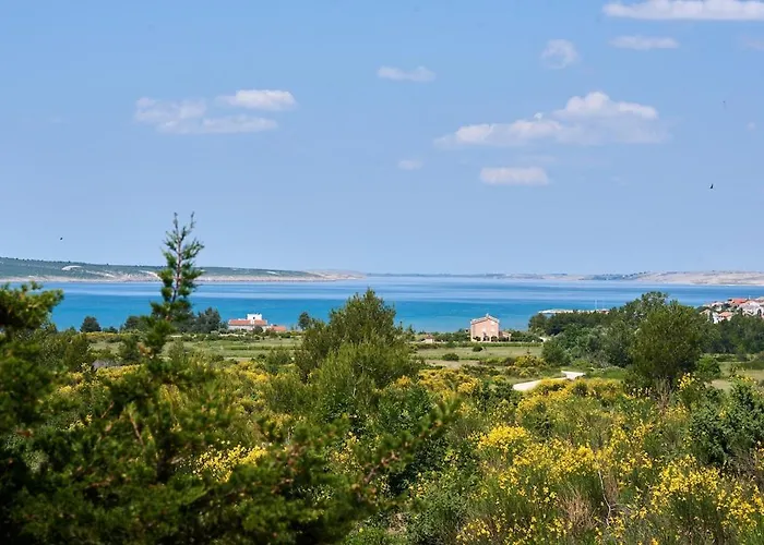 Ljubica With Pool Apartman